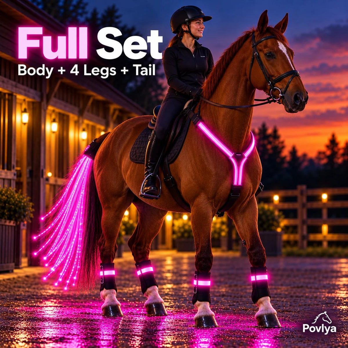 π LED Horse Safety Light Set β¨ Stay Visible on Every Night Ride