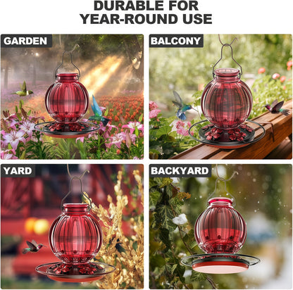 🌺 Vibrant Glass Hummingbird Feeder - 26oz Leakproof Bird Waterer with 5 Perch Stations  🐦