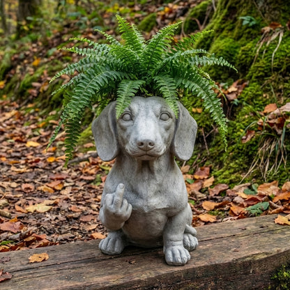 Funny French Bulldog Planter – Your Plants Just Got Attitude 🌿🐶