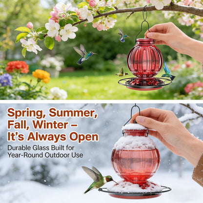 🌺 Vibrant Glass Hummingbird Feeder - 26oz Leakproof Bird Waterer with 5 Perch Stations  🐦