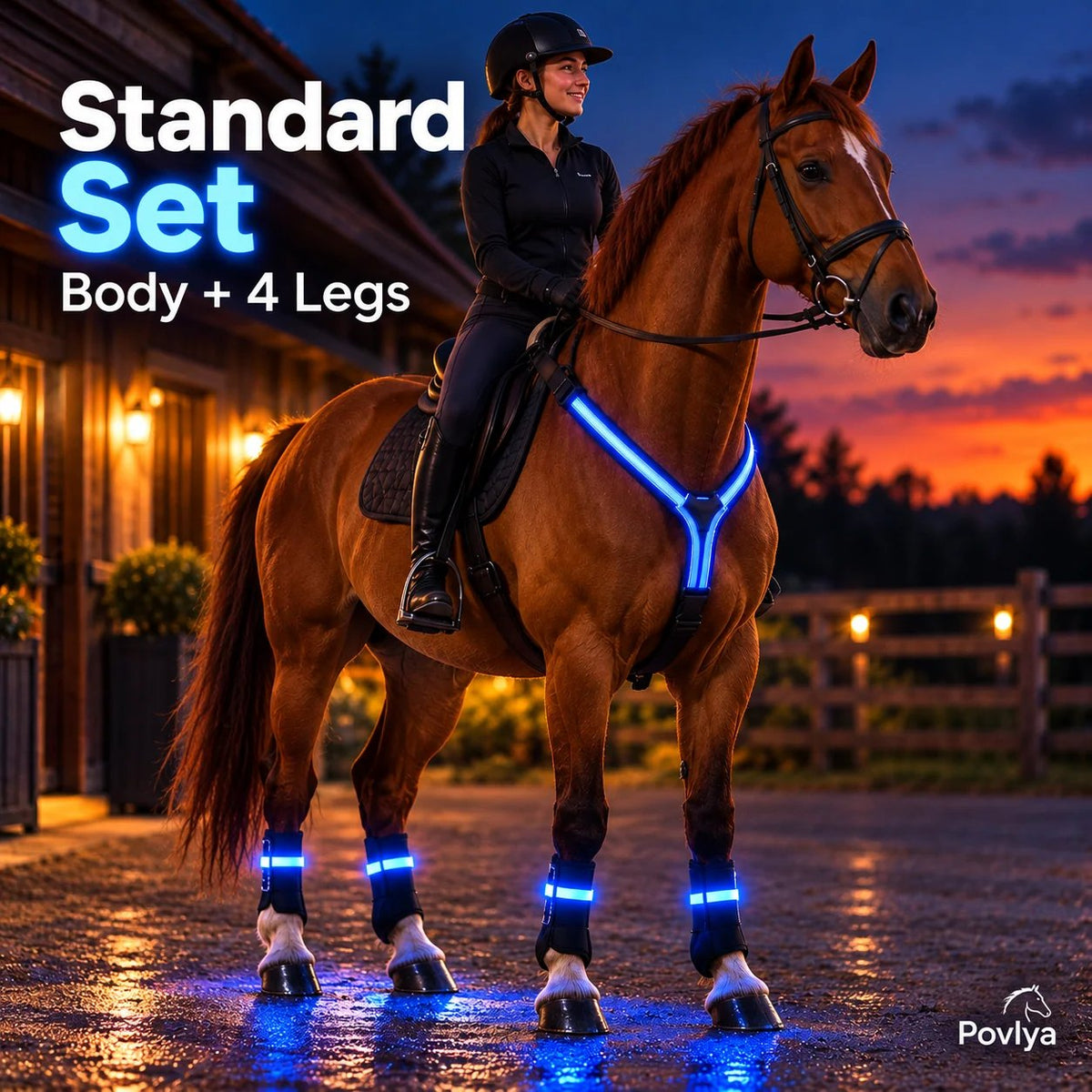 🐎 LED Horse Safety Light Set ✨ Stay Visible on Every Night Ride