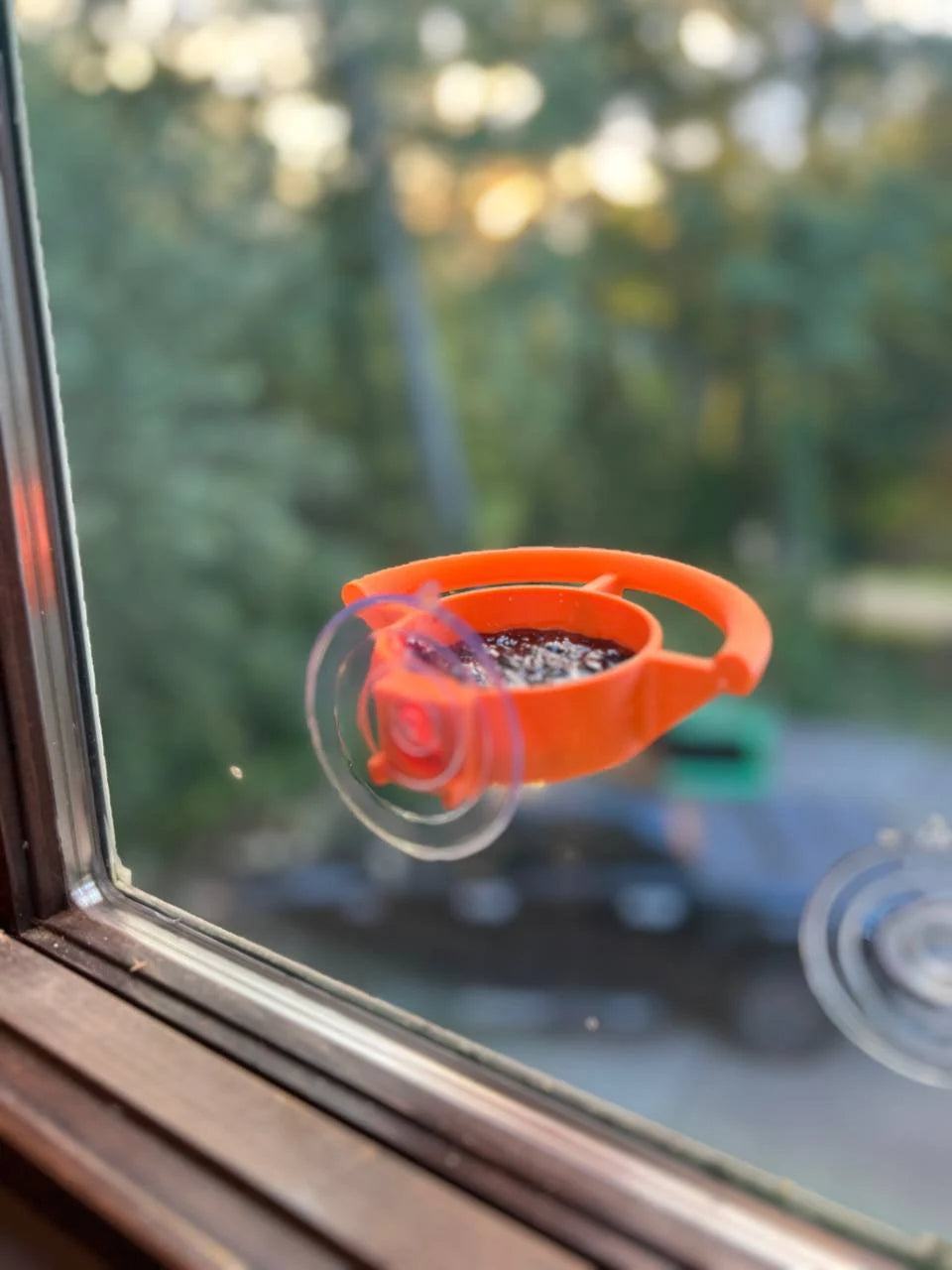 Bird Feeder Suction Cup Holder