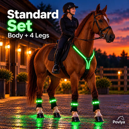 🐎 LED Horse Safety Light Set ✨ Stay Visible on Every Night Ride