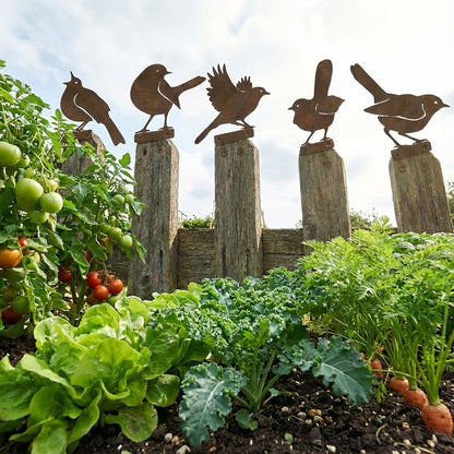 5-Piece Lifelike Rusty Metal Bird Silhouettes Garden Art