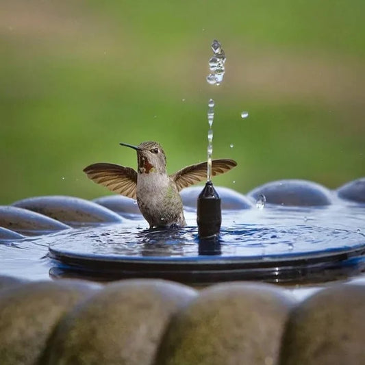🎁2026 Mother's Day Gifts 50% Off--☀️Solar Bird Bath Fountain Pump with 4 Nozzles