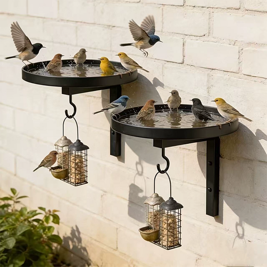 📢📢50% OFF !!!⏰Wall-Mounted Metal Bird Bath – Antique Bronze Finish 🐦🛁🧱🏡